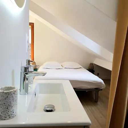 Cote & Lac Apartment Annecy